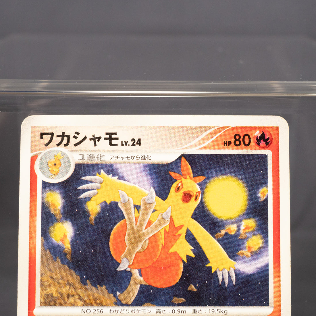[MP] Combusken DPBP#306 DP4   Pokemon Card TCG Japanese
