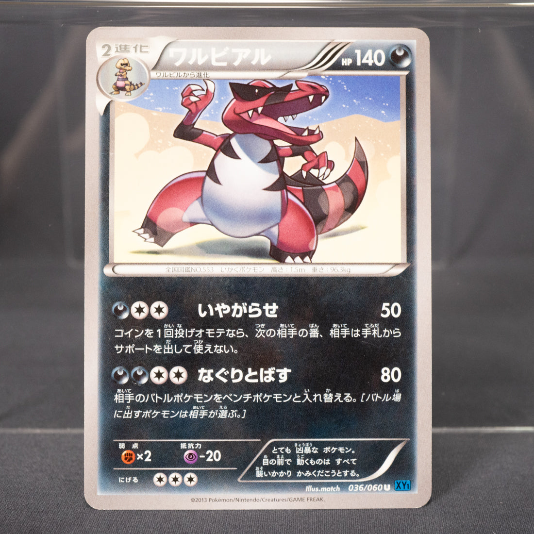 [LP] Krookodile 036/060 XY1   Pokemon Card TCG Japanese