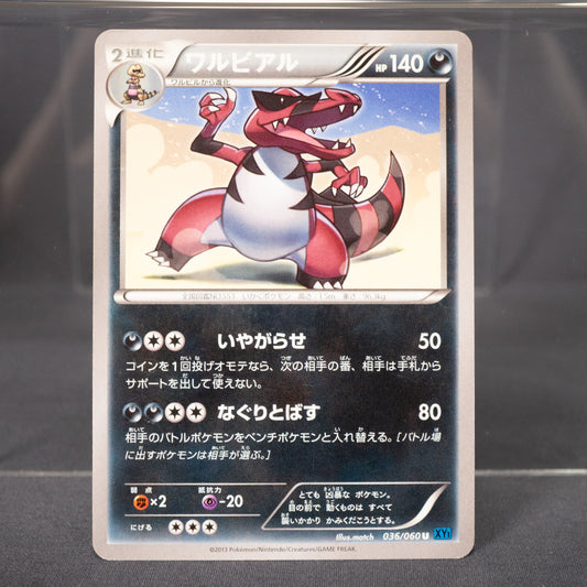 [LP] Krookodile 036/060 XY1   Pokemon Card TCG Japanese