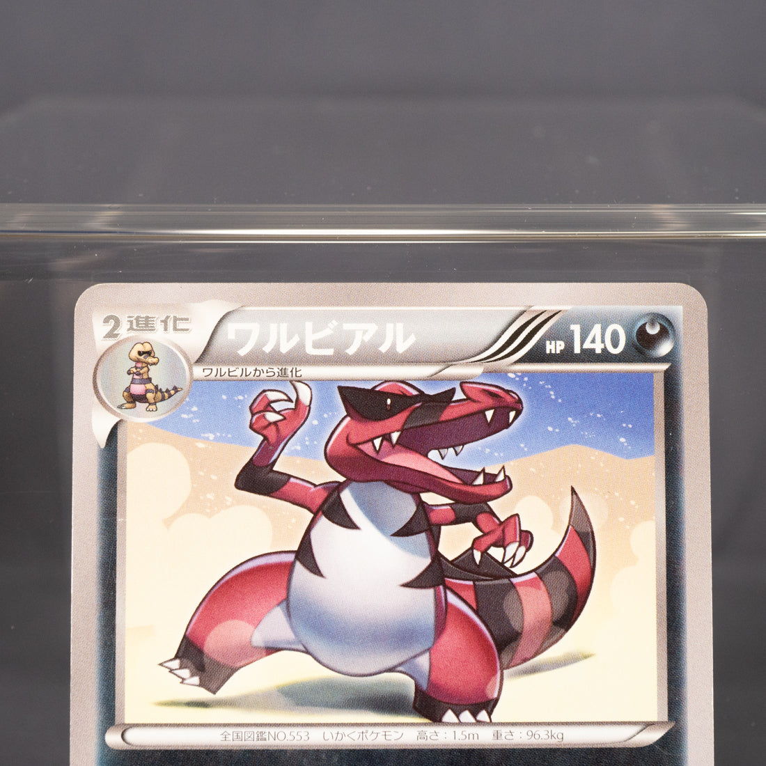 [LP] Krookodile 036/060 XY1   Pokemon Card TCG Japanese