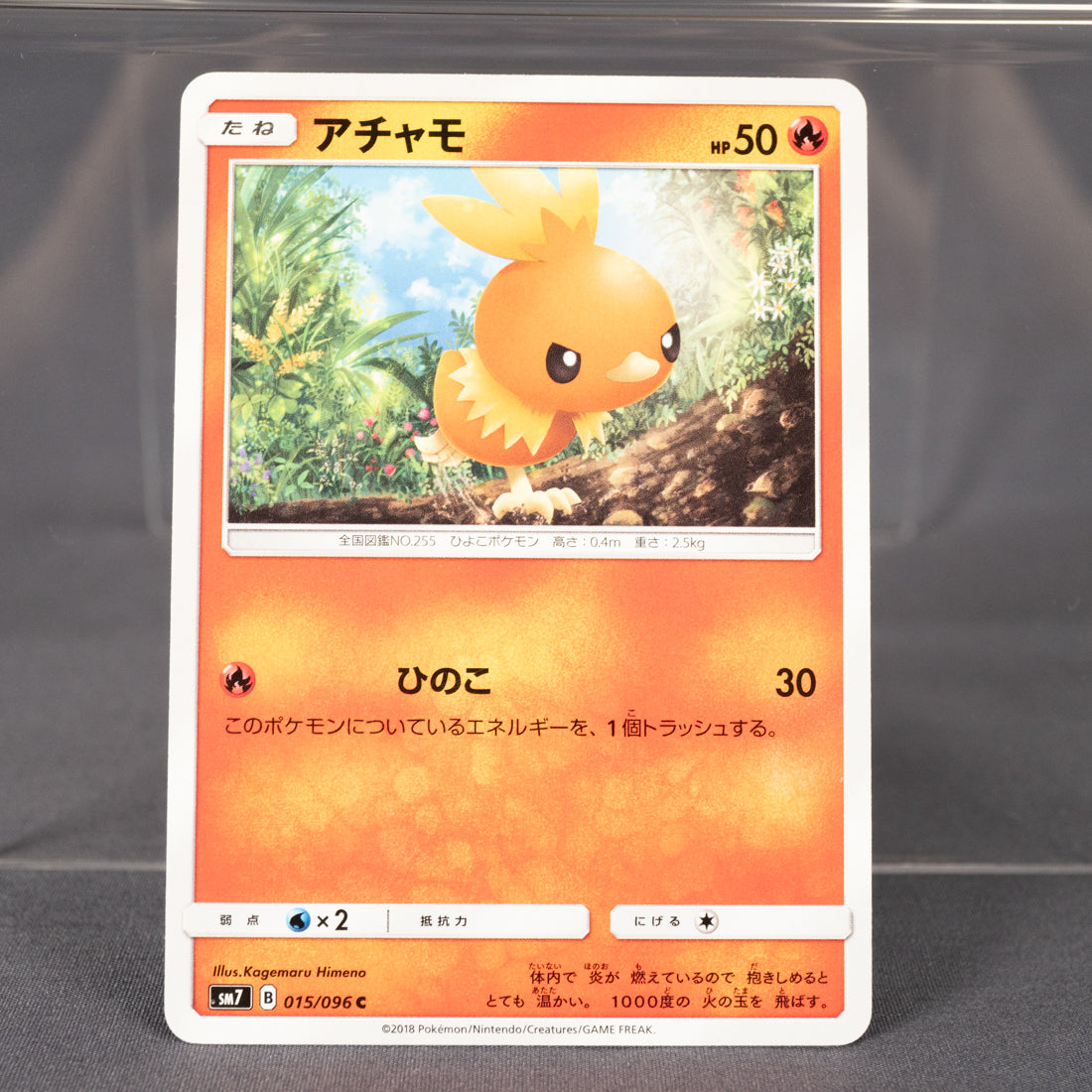 [LP] Torchic 015/096 SM7  Pokemon Card TCG Japanese