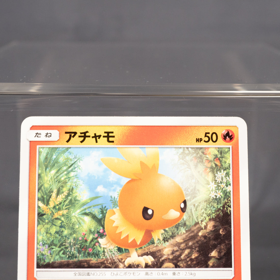 [LP] Torchic 015/096 SM7  Pokemon Card TCG Japanese