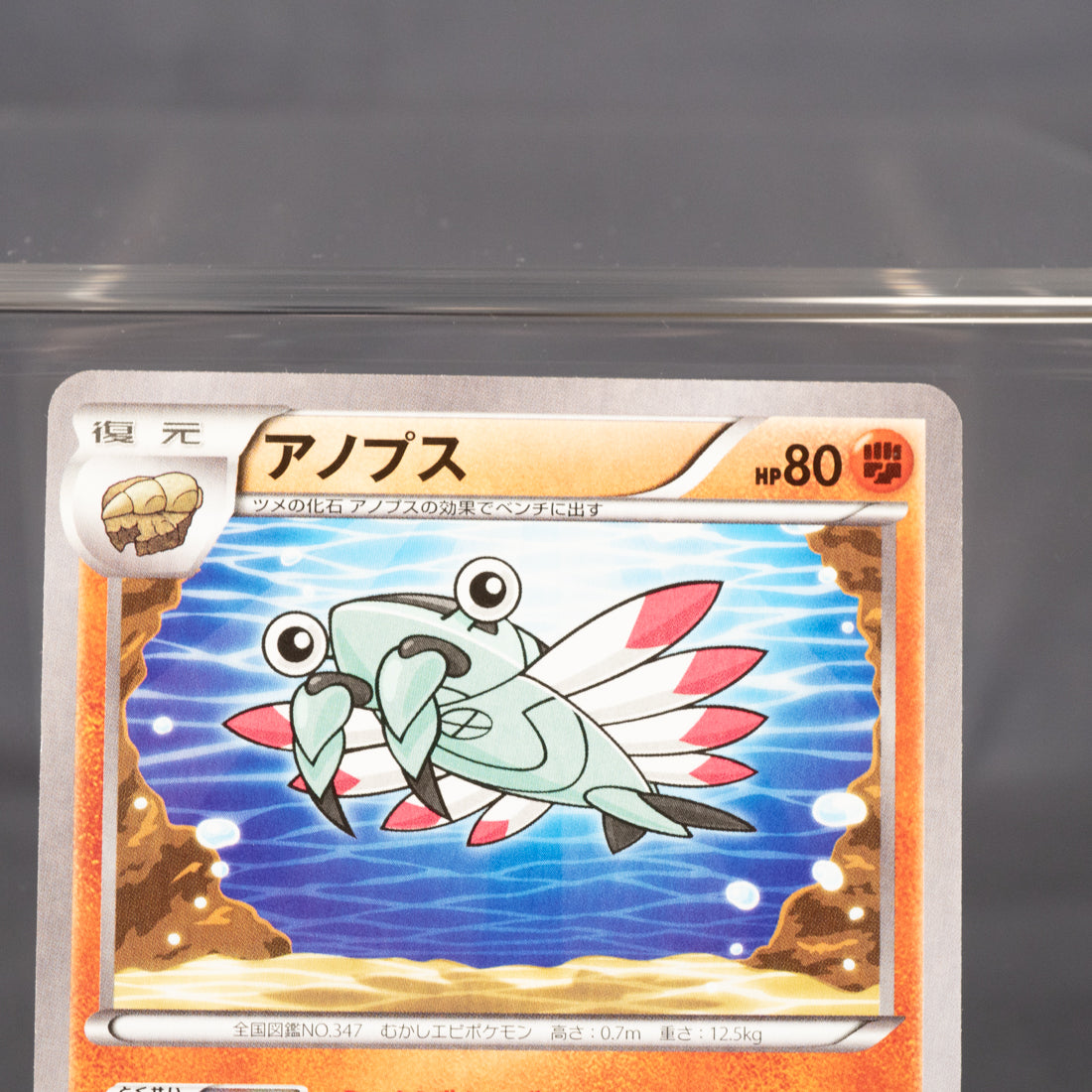 [LP] Anorith 026/054 XY11  Pokemon Card TCG Japanese