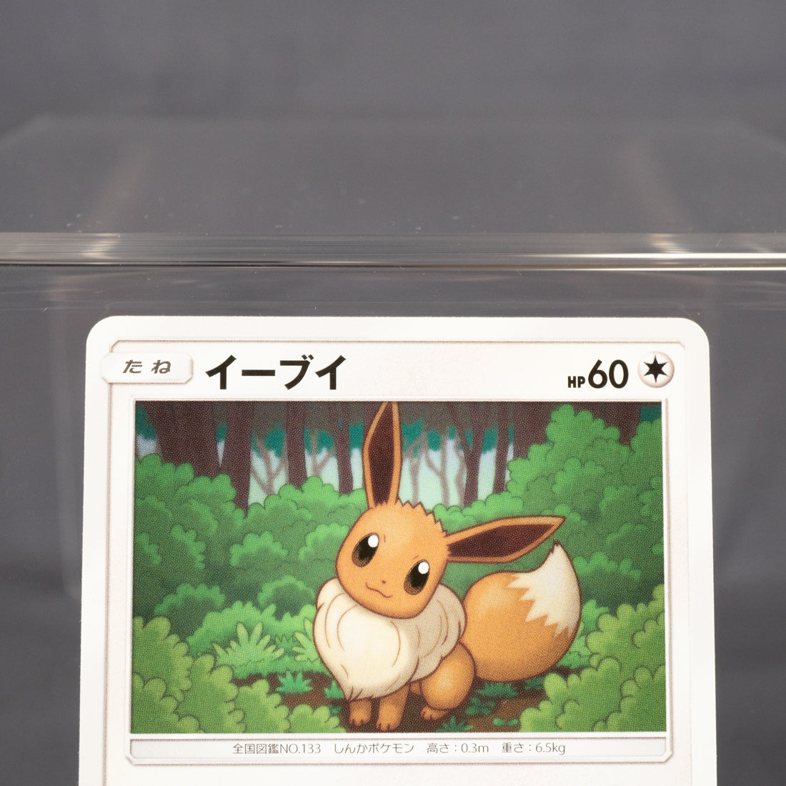 [LP] Eevee 074/095 sm12 2019   Pokemon Card TCG Japanese