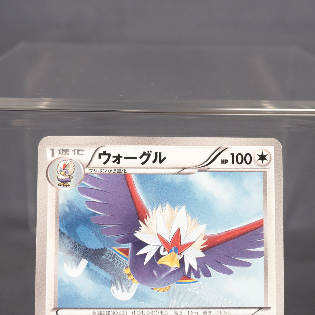 [MP] Braviary 047/050 BW5   Pokemon Card TCG Japanese