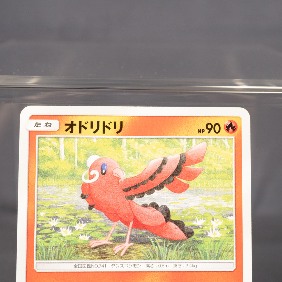 [LP] Oricorio 020/096 SM7  Pokemon Card TCG Japanese