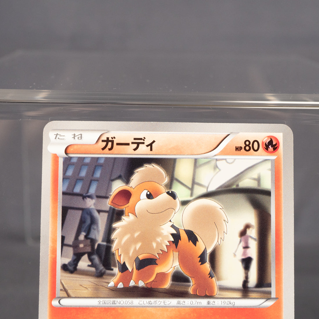 [LP] Growlithe 009/052 BW3  Pokemon Card TCG Japanese