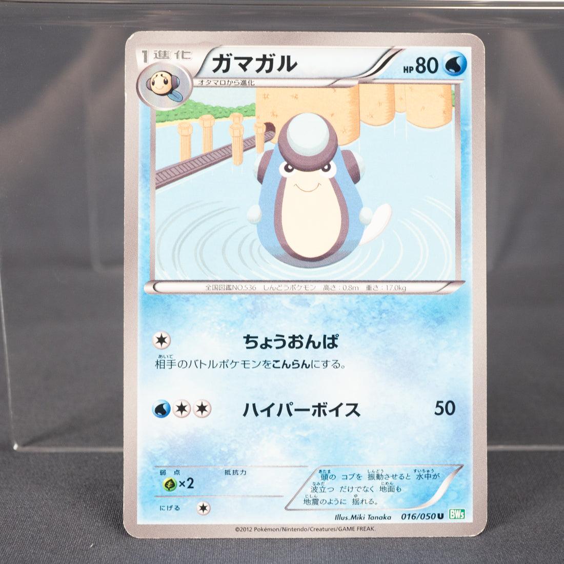 [MP]  Palpitoad 016/050  BW5   Pokemon Card TCG Japanese