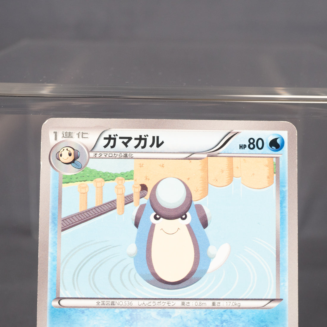 [MP]  Palpitoad 016/050  BW5   Pokemon Card TCG Japanese