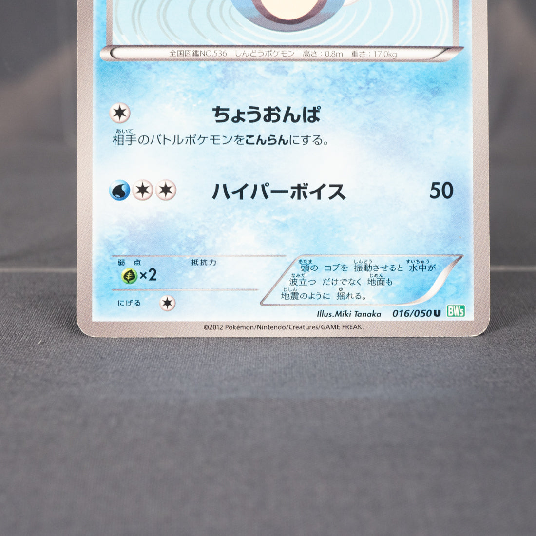 [MP]  Palpitoad 016/050  BW5   Pokemon Card TCG Japanese