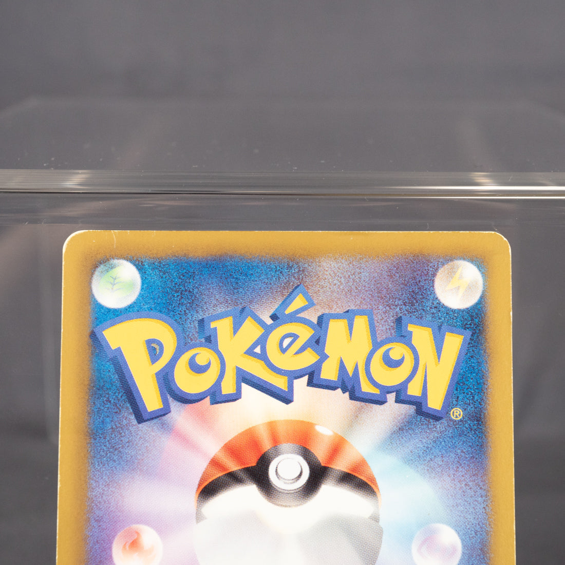 [MP]  Palpitoad 016/050  BW5   Pokemon Card TCG Japanese