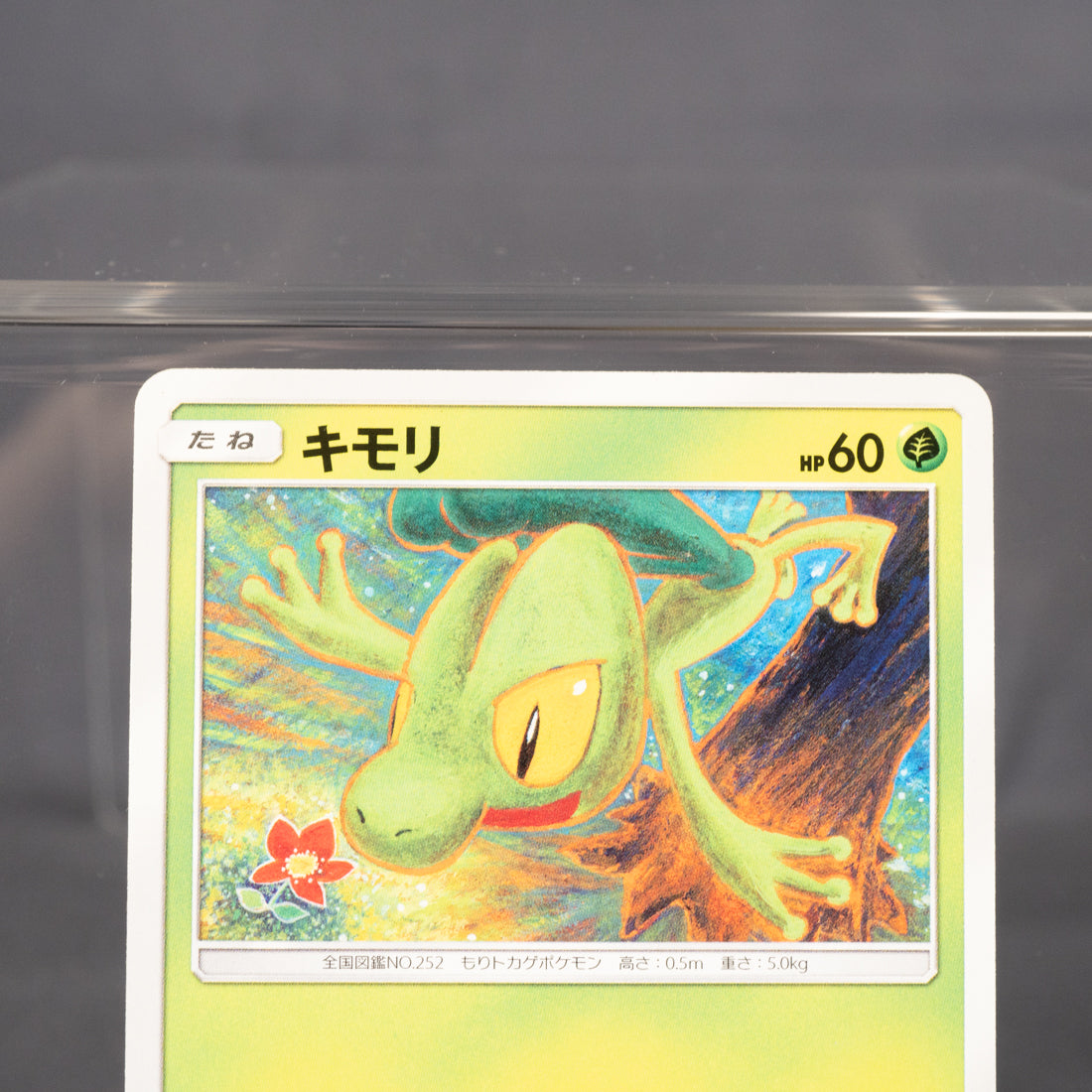 [LP] Treecko 003/050 SM7b Tomokazu Komiya Pokemon Card TCG Japanese