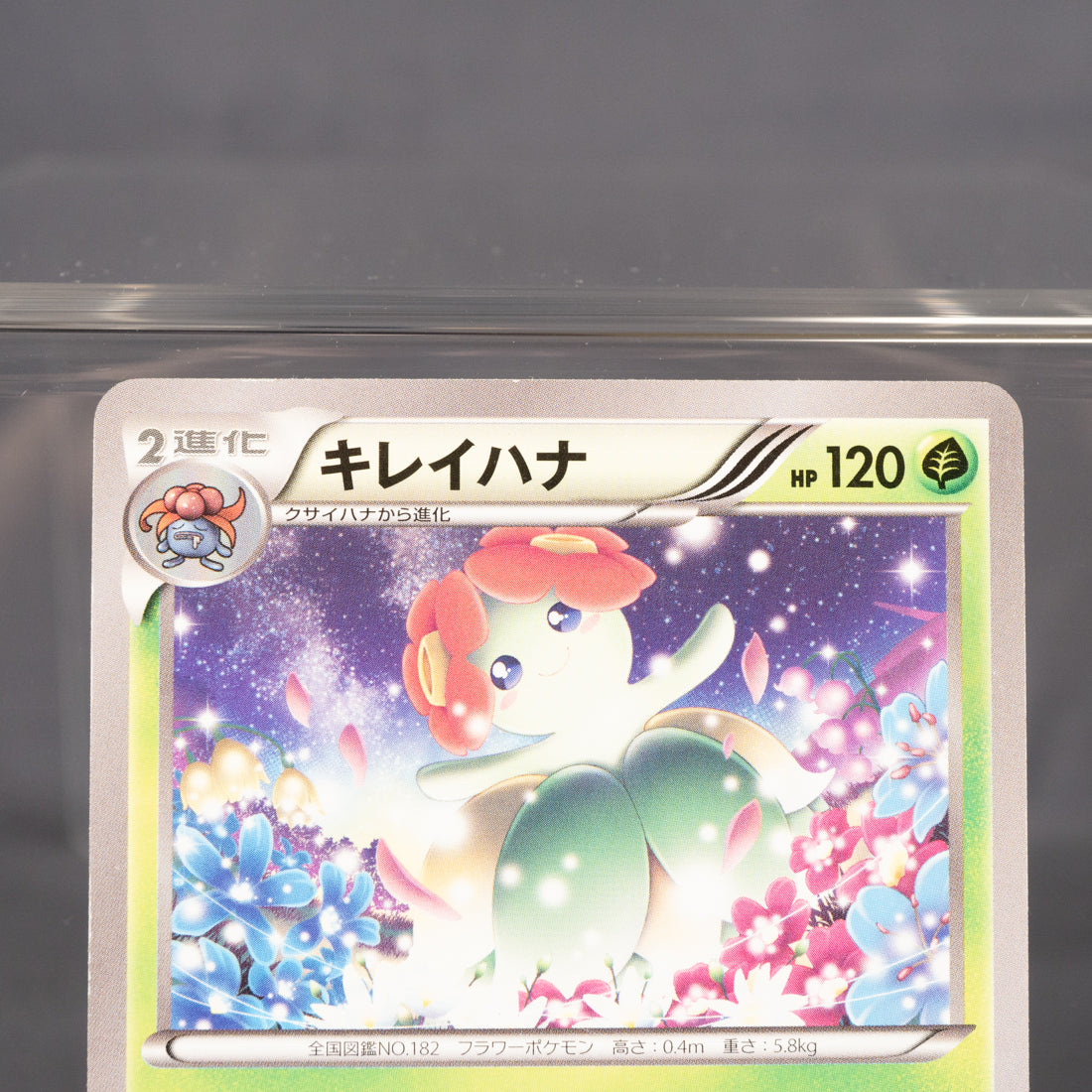 [LP] Bellossom 004/081 Xy7  Pokemon Card TCG Japanese