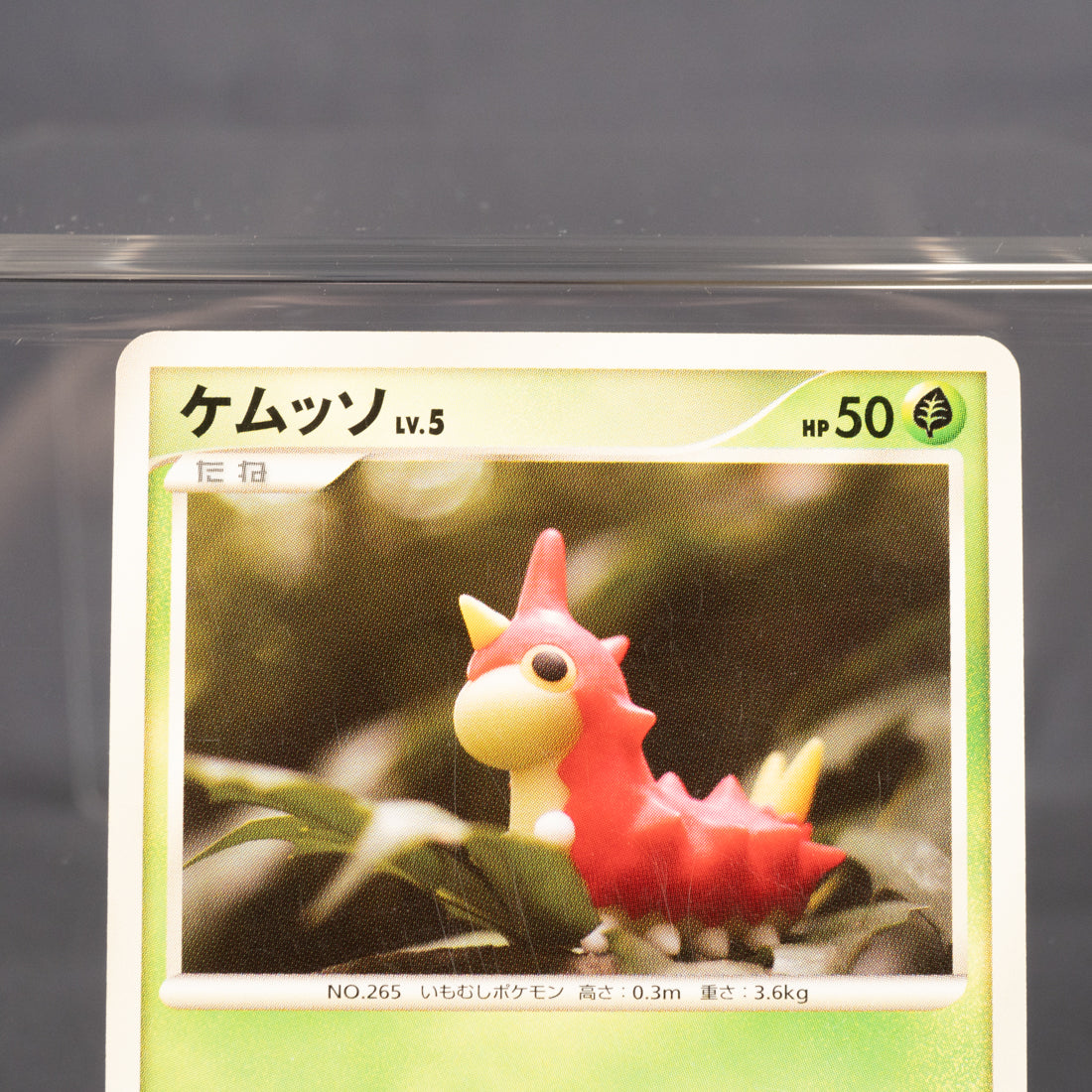 [LP] Wurmple 001/096 Pt1 2008 Yuka Morii Pokemon Card TCG Japanese