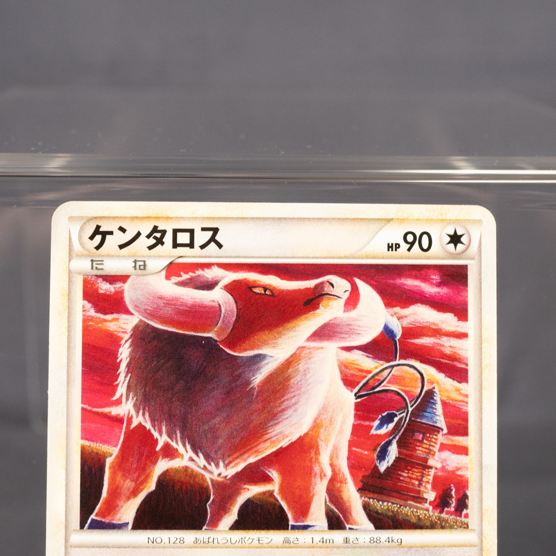 [LP] Tauros 055/070 L1 2009 Tomokazu Komiya Pokemon Card TCG Japanese