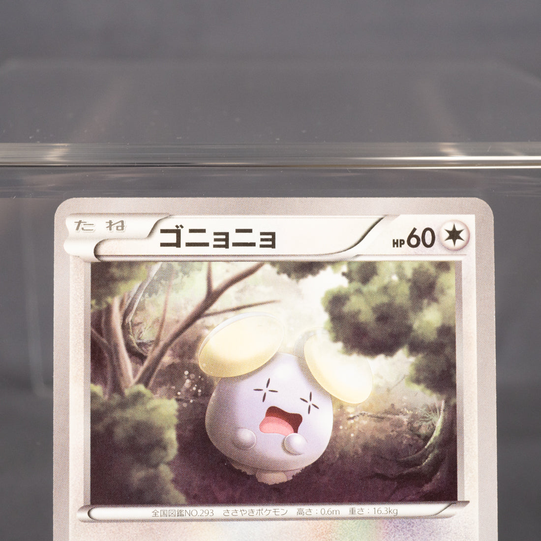 [LP]  Whismur 060/078 XY10  Pokemon Card TCG Japanese