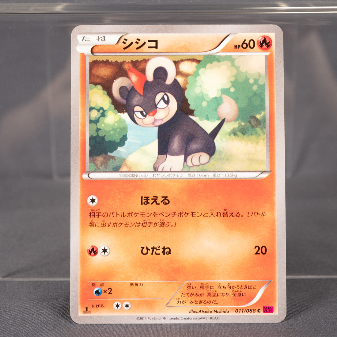 [LP] Litleo 011/088 XY4:  Pokemon Card TCG Japanese