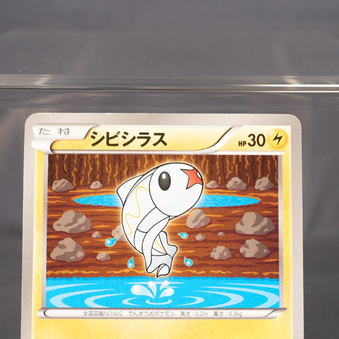 [MP] Tynamo 023/076 BW9   Pokemon Card TCG Japanese