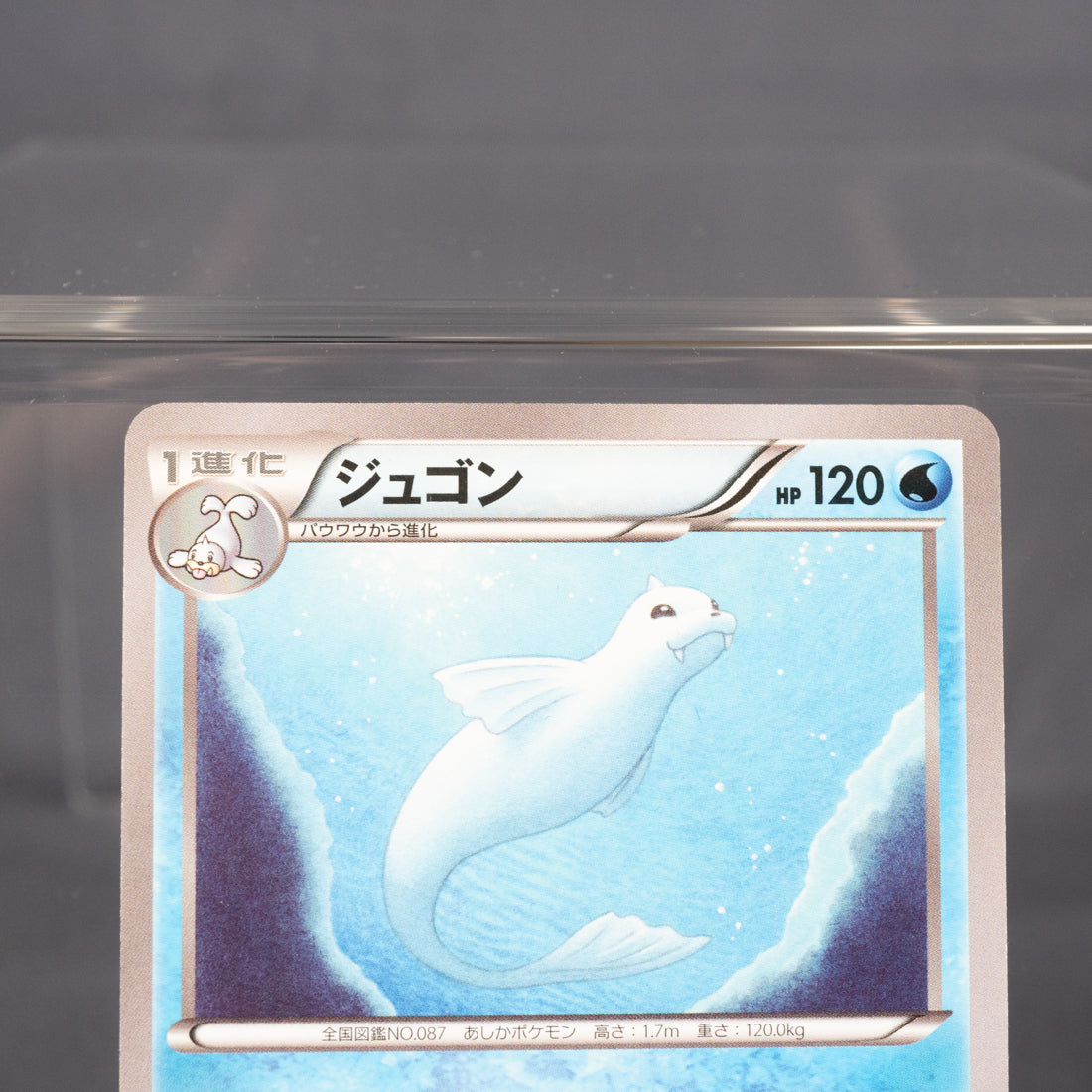 [LP] Dewgong 014/078 XY10  Pokemon Card TCG Japanese