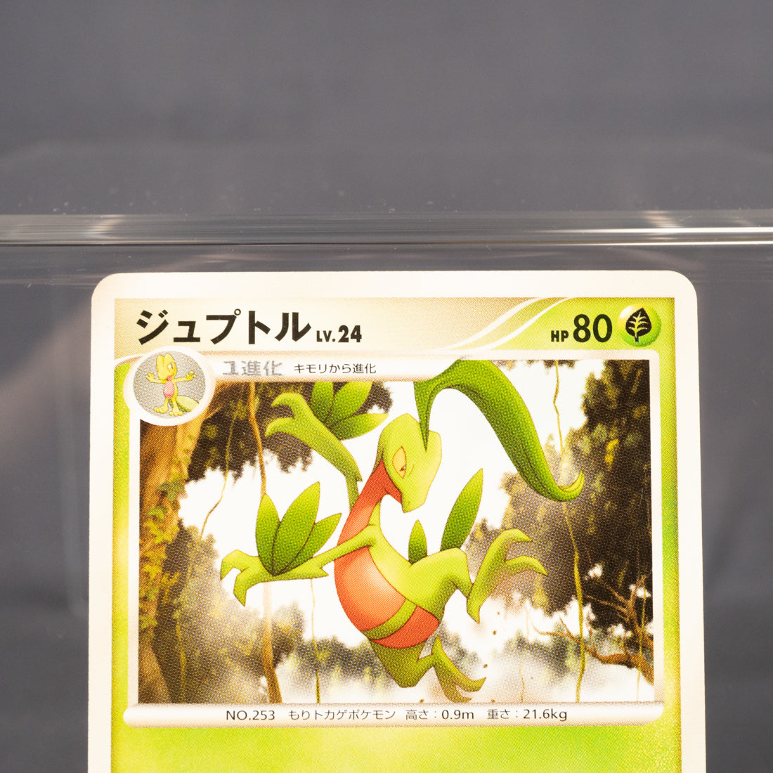 [MP] Grovyle 003/017 Pt 2009  Pokemon Card TCG Japanese