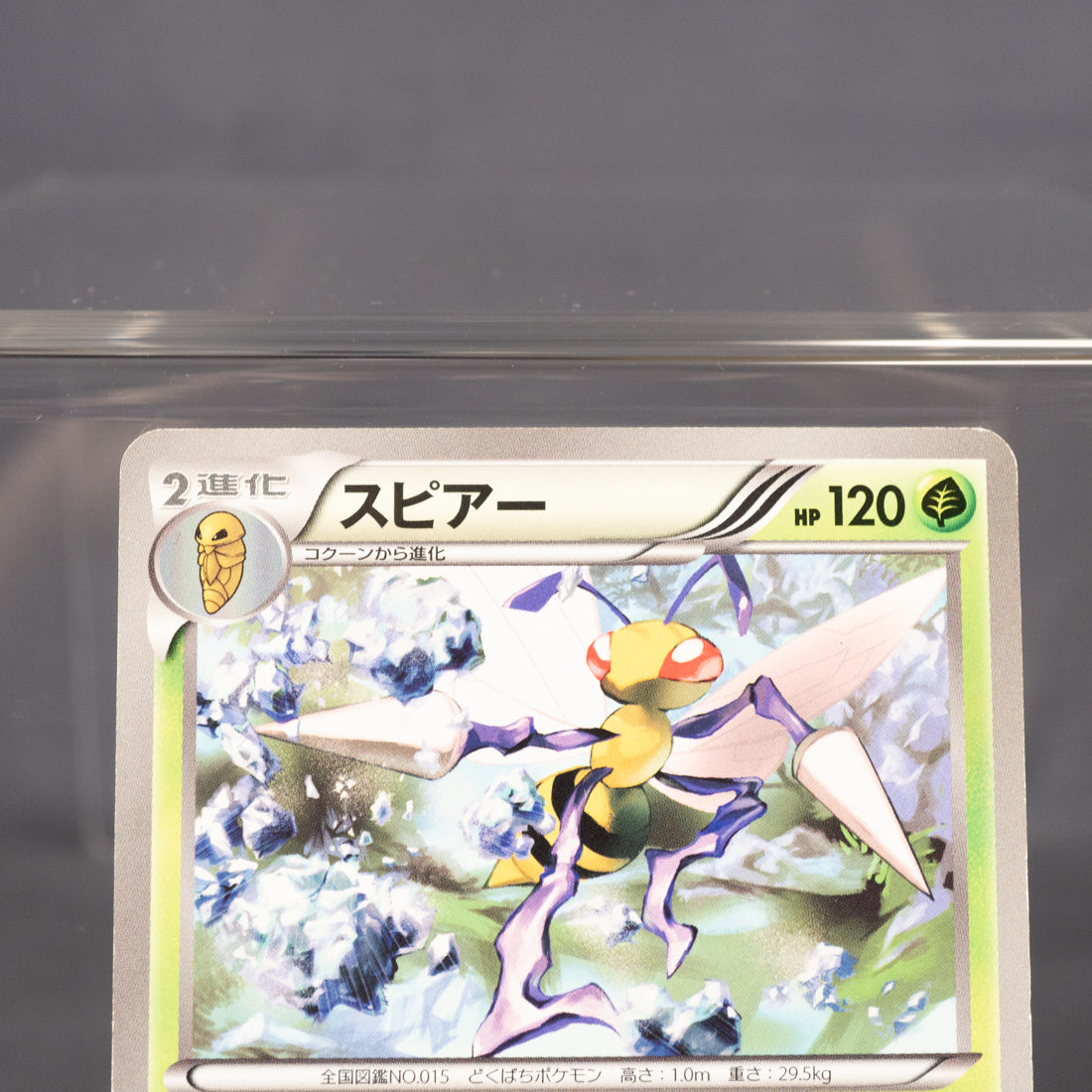 [MP] Beedrill 003/051  BW8  Pokemon Card TCG Japanese