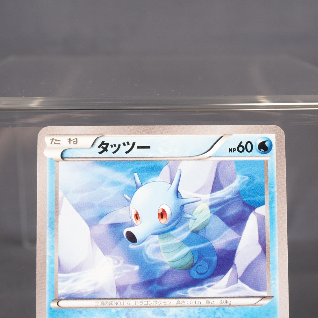 [LP]  Horsea 009/070 XY5  Pokemon Card TCG Japanese