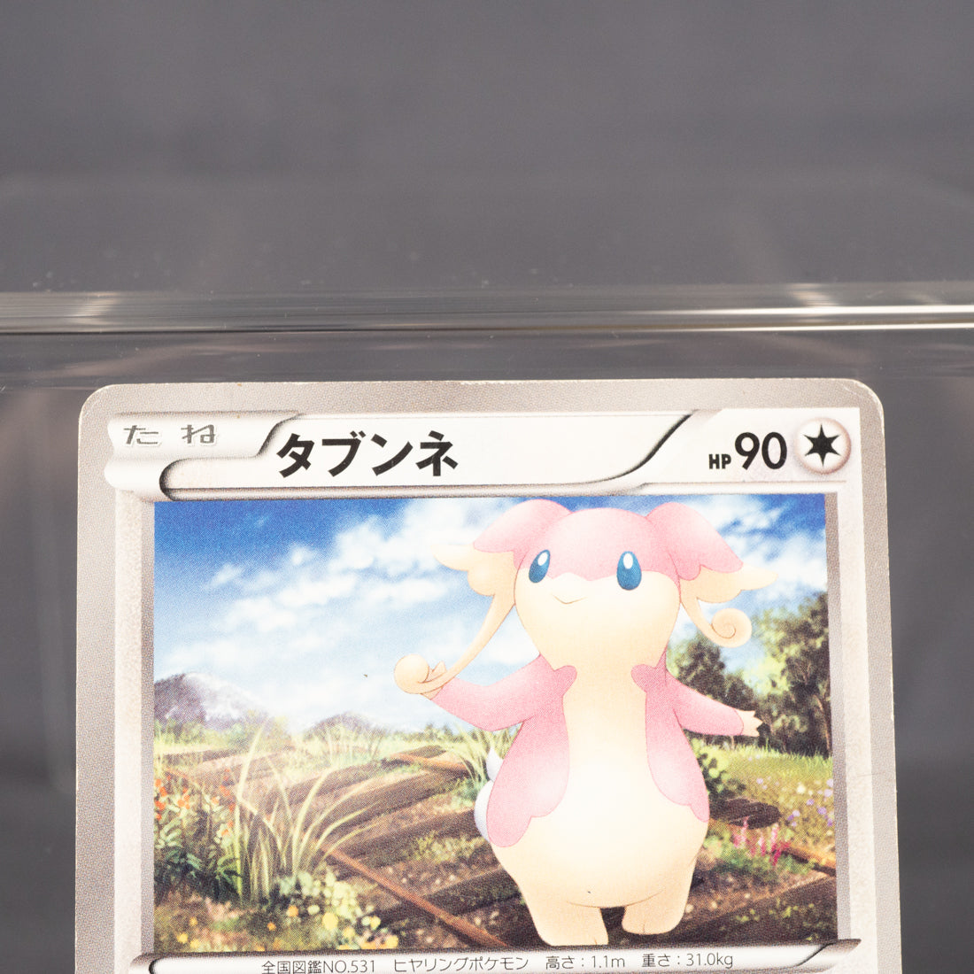 [HP] Audino 045/053 BW1   Pokemon Card TCG Japanese