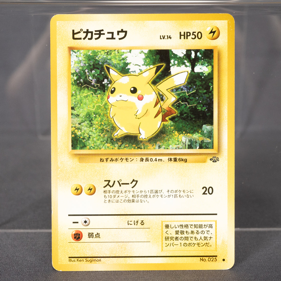 [LP] Pikachu No.025 Old Back  Pokemon Card TCG Japanese