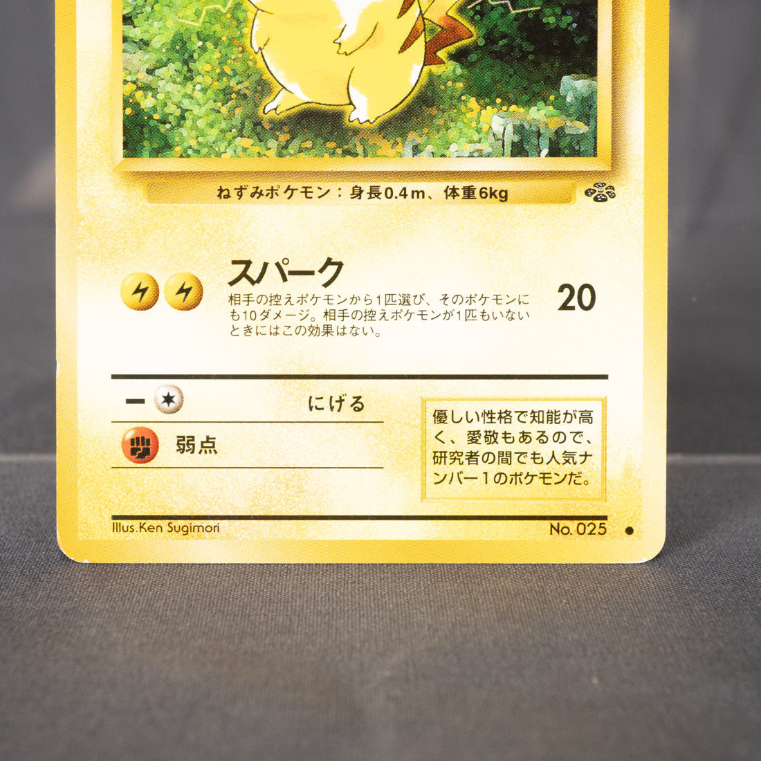 [LP] Pikachu No.025 Old Back  Pokemon Card TCG Japanese