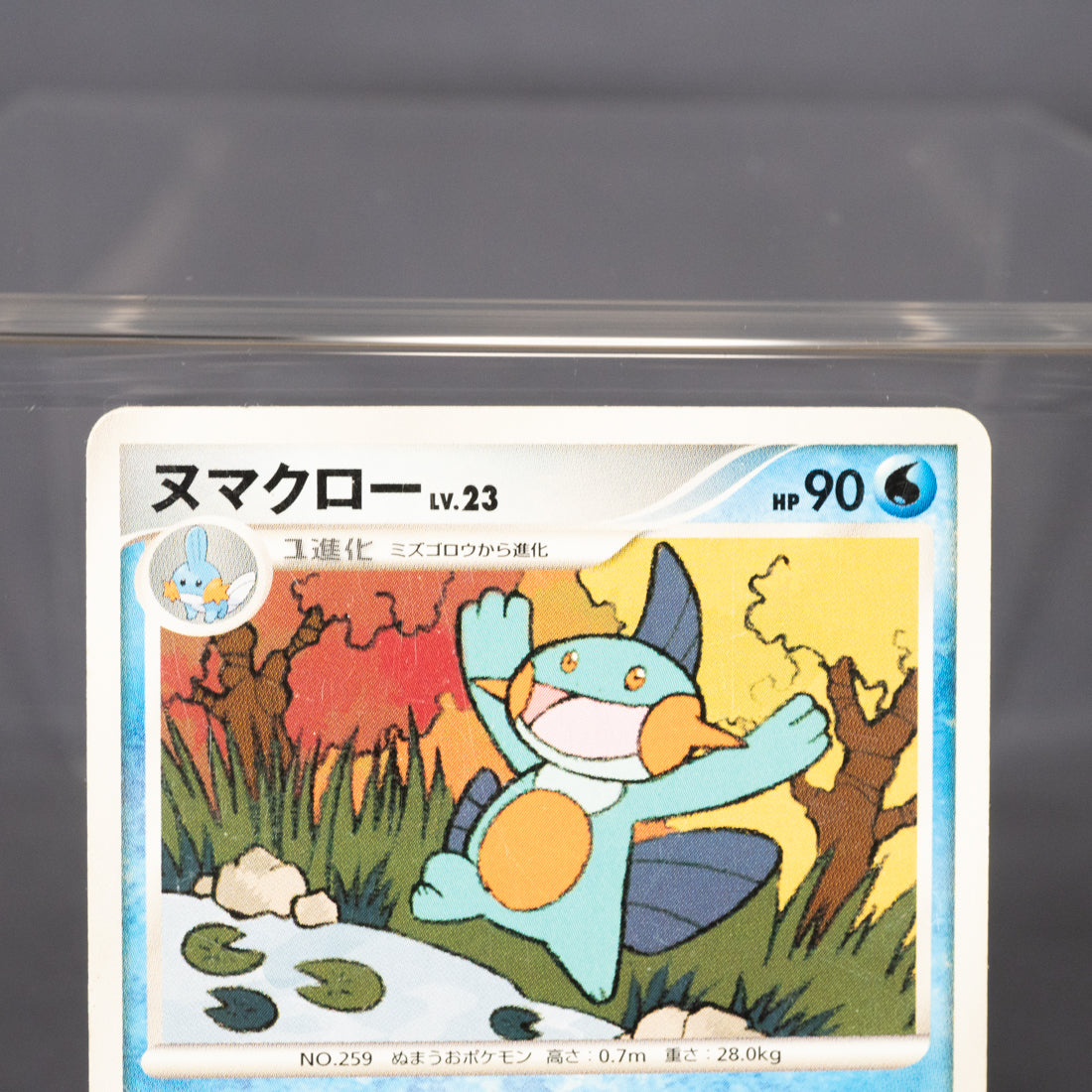 [MP] Marshtomp DPBP#309 1st ED DP4  Pokemon Card TCG Japanese