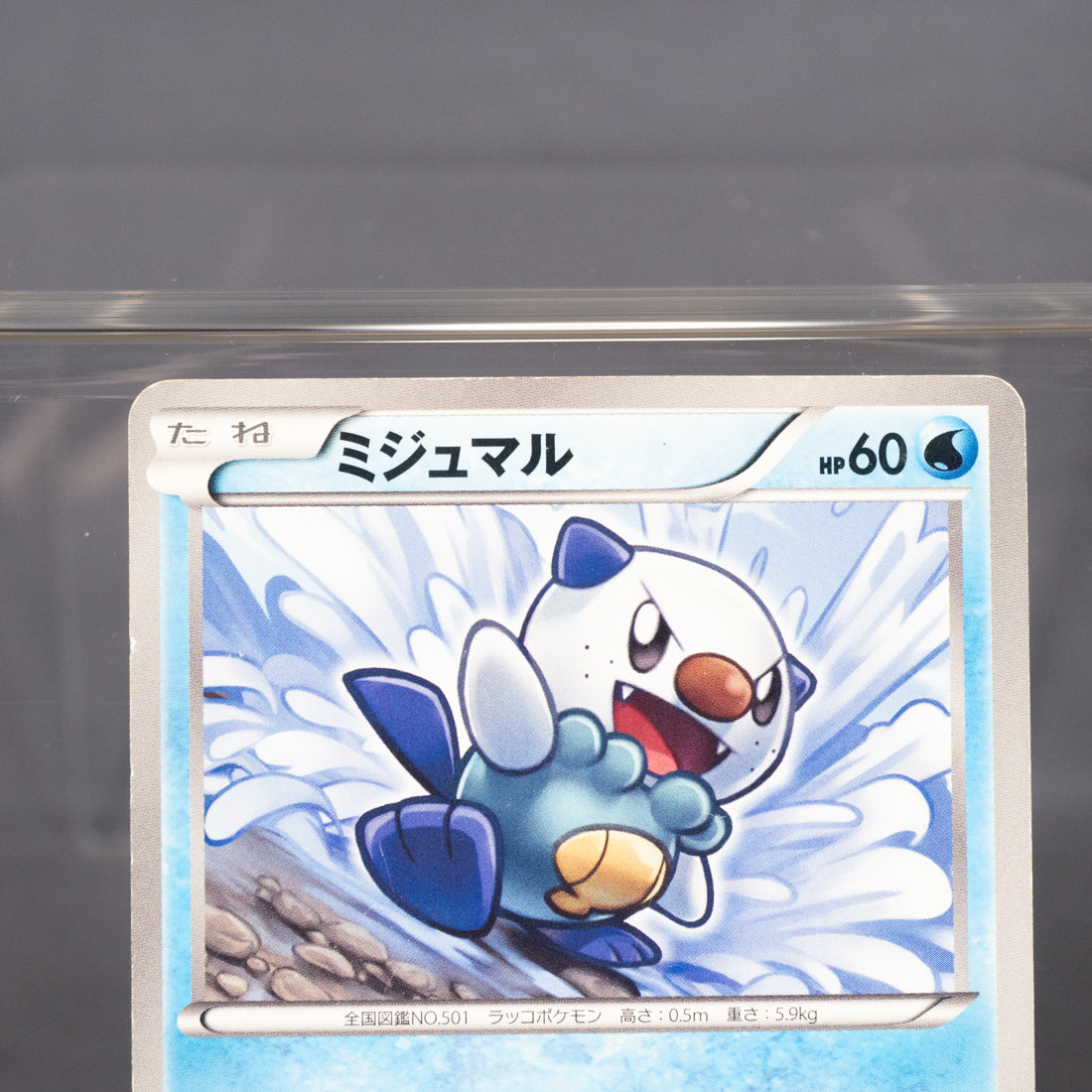 [MP] Oshawott 009/034 HSZ   Pokemon Card TCG Japanese