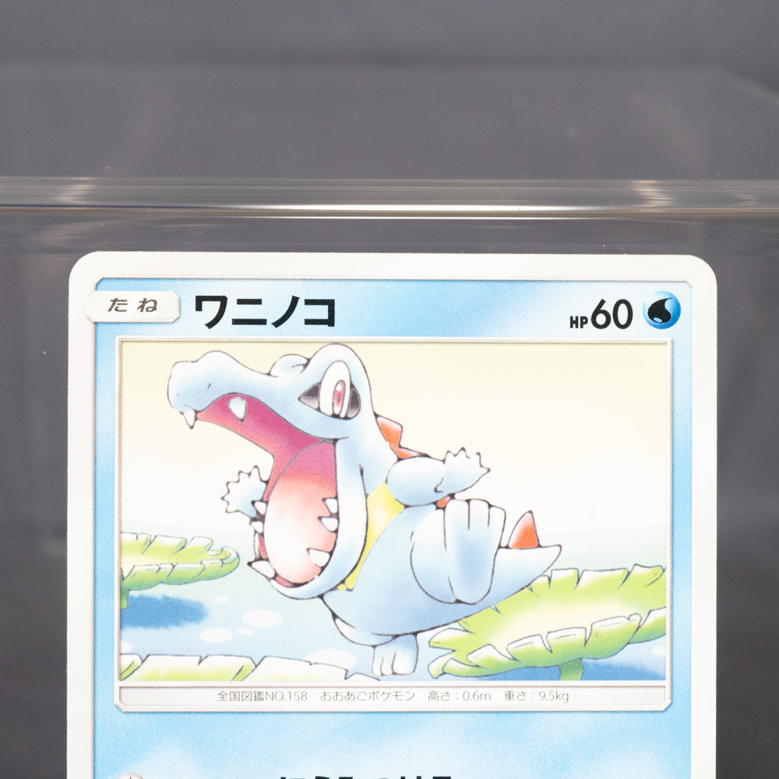 [LP] Totodile 015/066  Pokemon Card TCG Japanese