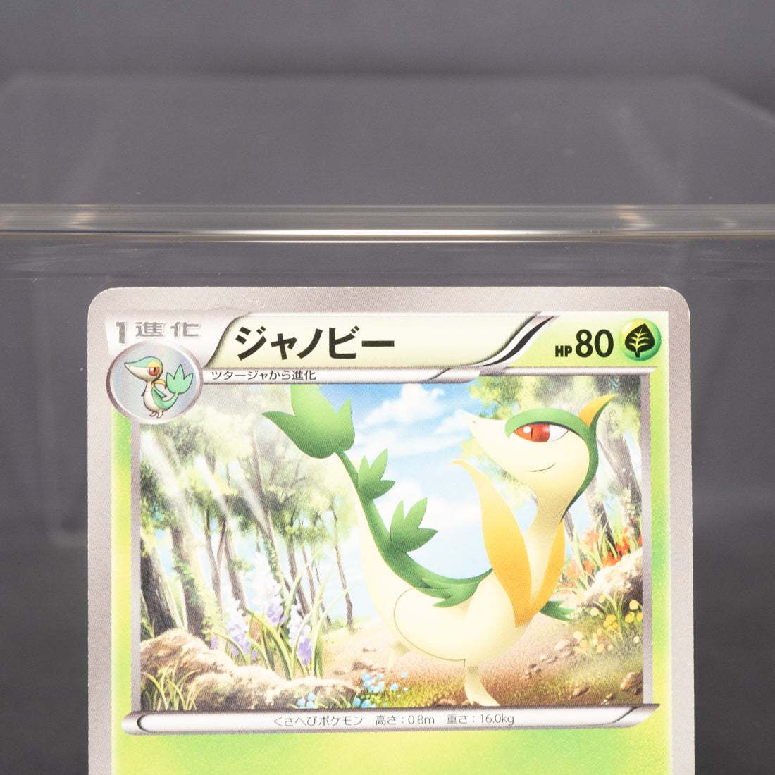 [LP] Servine 002/037 HS   Pokemon Card TCG Japanese