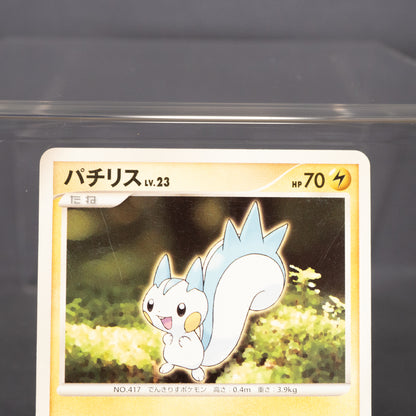 [LP] Pachirisu DPBP#480  Pokemon Card TCG Japanese