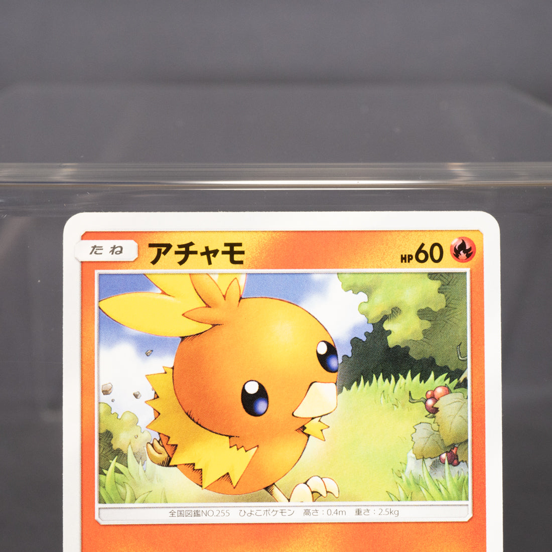 [LP] Torchic 012/150 SM8B  Pokemon Card TCG Japanese