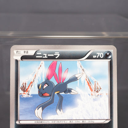 [LP] Sneasel 031/051 BW8  Pokemon Card TCG Japanese