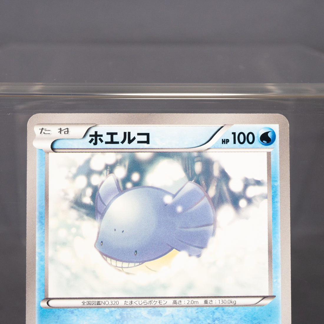 [LP] Wailmer 011/050 BW5  Pokemon Card TCG Japanese