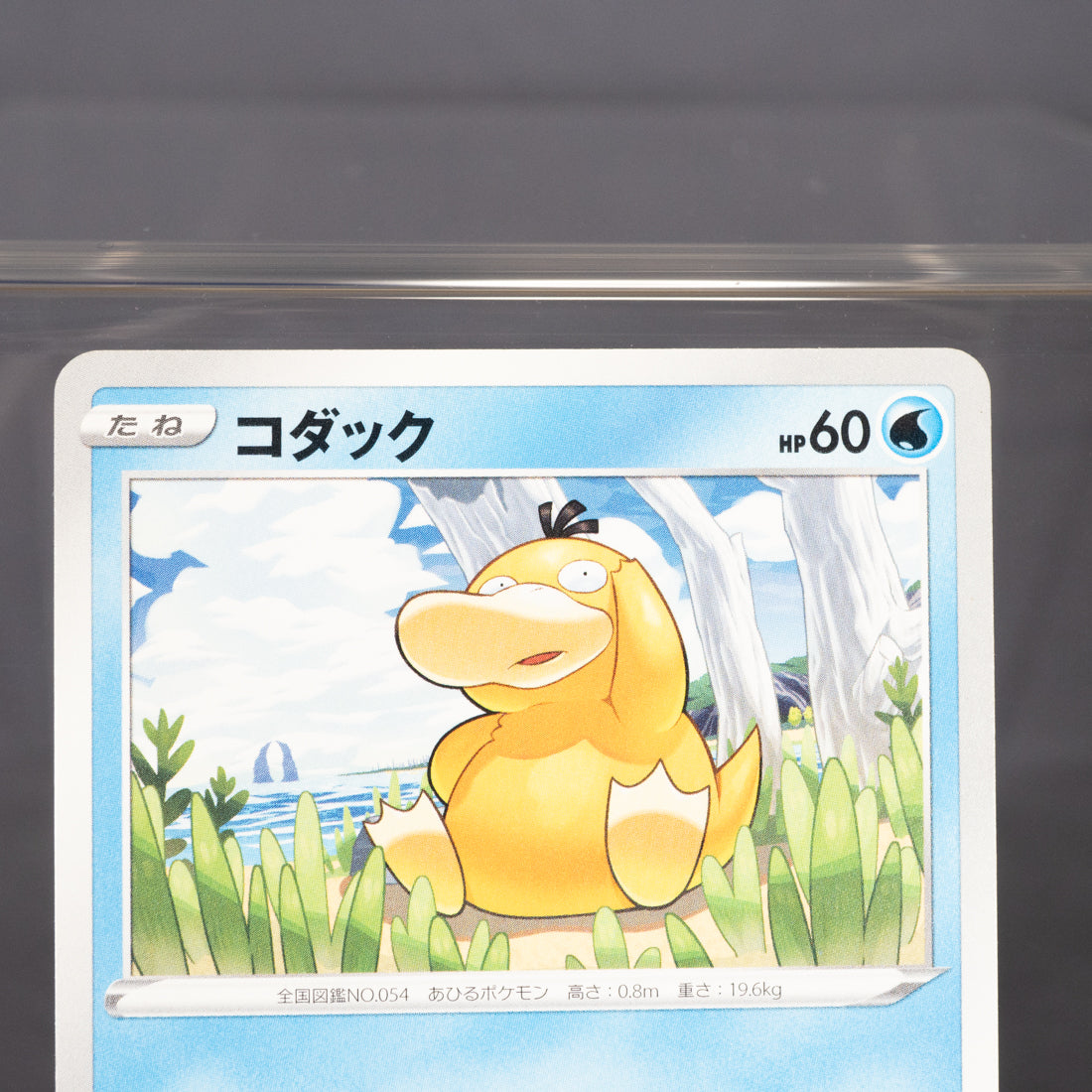 [LP] Psyduck  016/067 s10p  Pokemon Card TCG Japanese