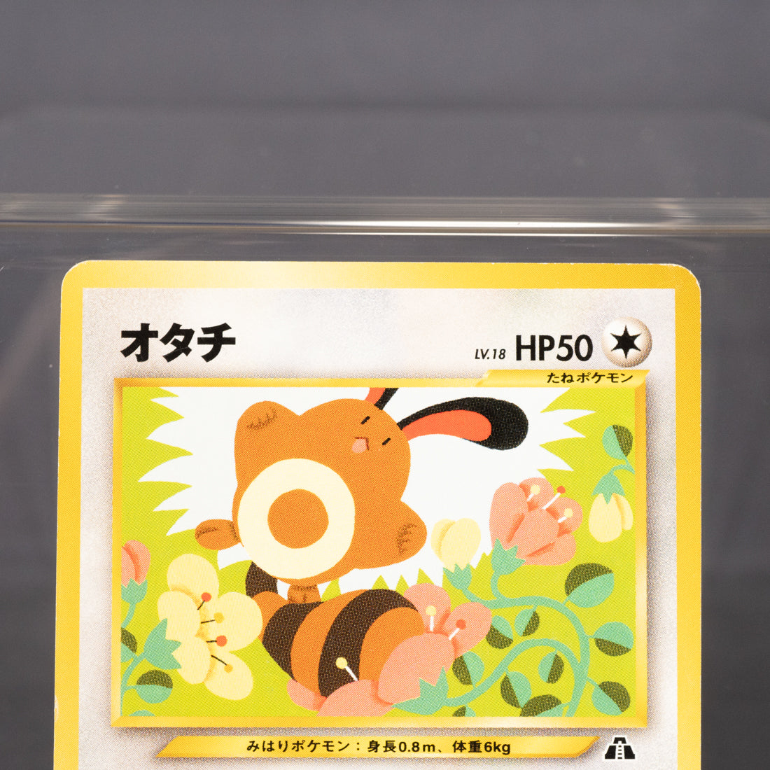 [LP]  Sentret No. 161 Old Back  Pokemon Card TCG Japanese