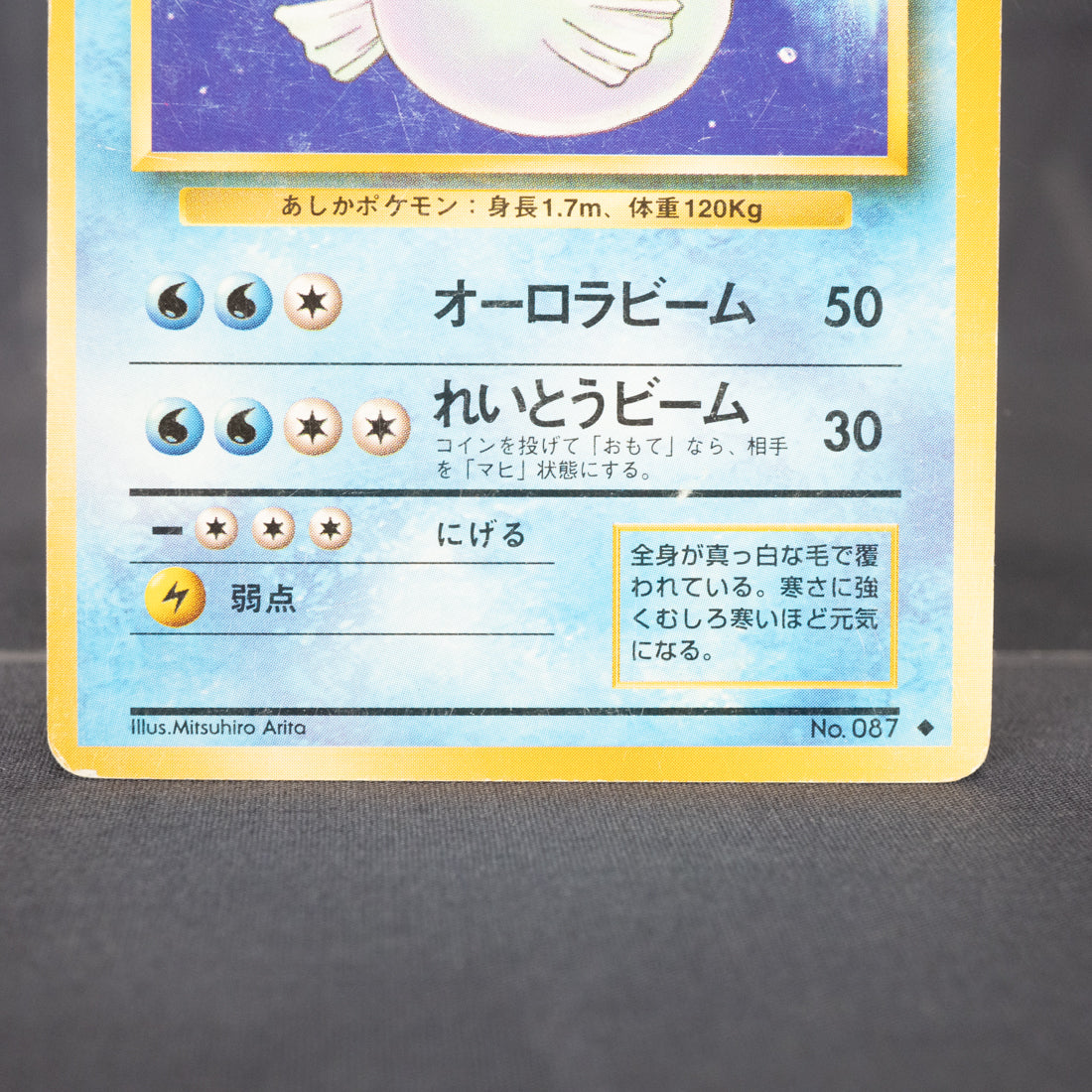 [HP] Dewgong No. 087  Old Back   Pokemon Card TCG Japanese
