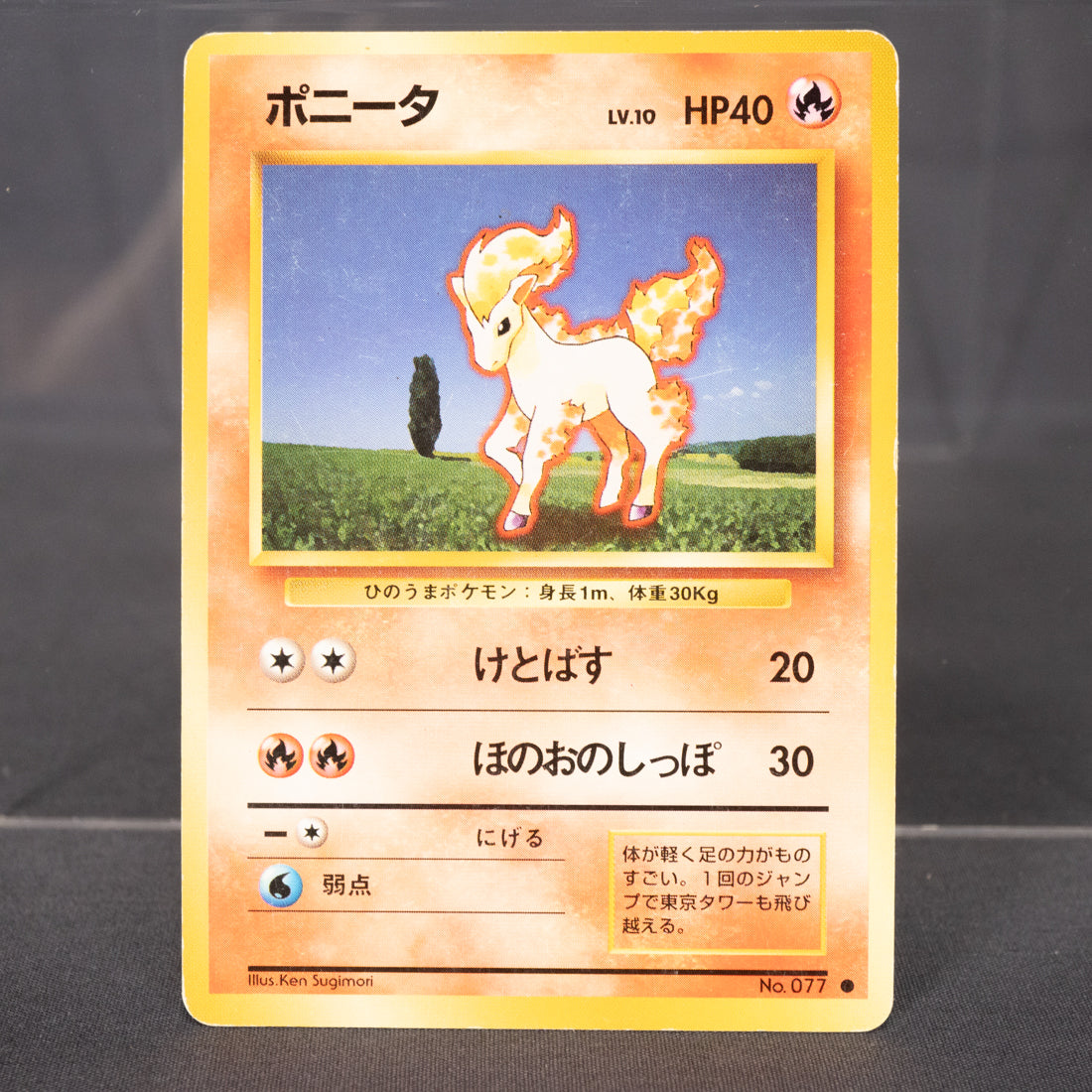 [MP] Ponyta No. 077  Old Back   Pokemon Card TCG Japanese