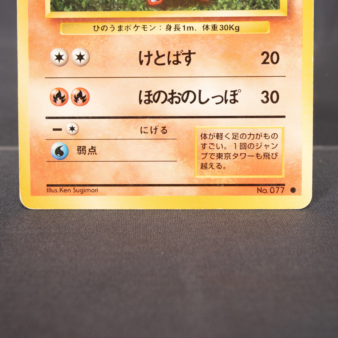 [MP] Ponyta No. 077  Old Back   Pokemon Card TCG Japanese