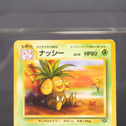 [LP] Exeggutor No.103  Old Back   Pokemon Card TCG Japanese