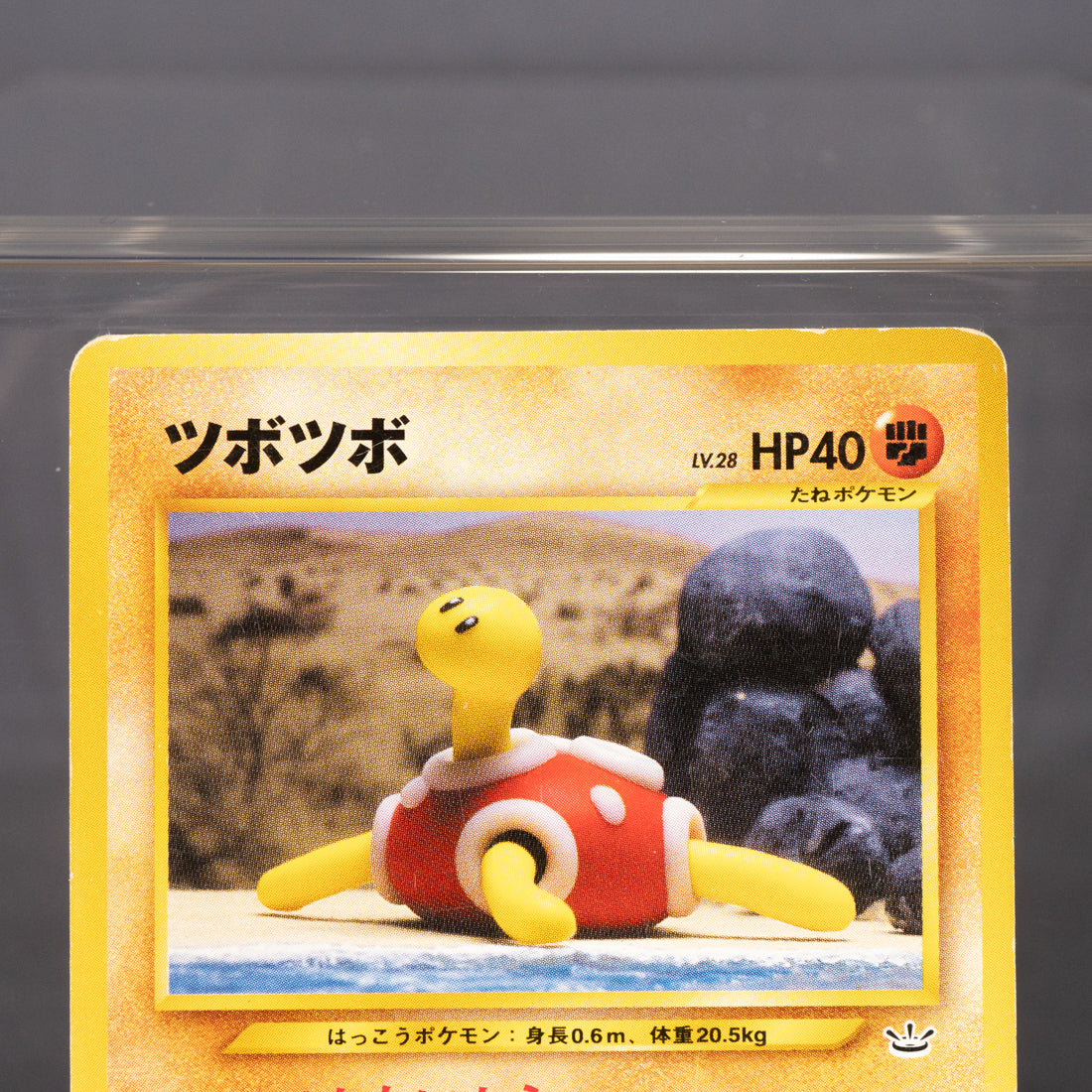 [LP] Shuckle No. 213 Old Back  Pokemon Card TCG Japanese